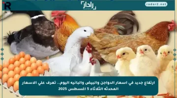 ارتفاع جديد في أسعار الدواجن والبيض والبانية اليوم.. تعرف على الأسعار المحدثة الثلاثاء 5 أغسطس 2025